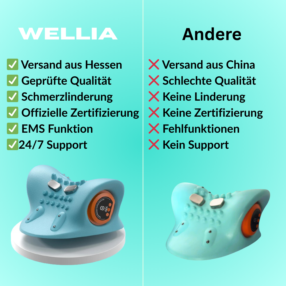 TheraNeck Pro 4-in-1