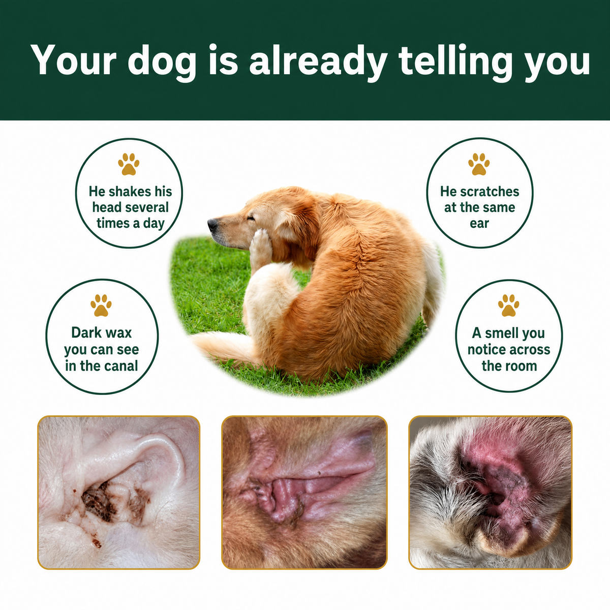 Ear Cleaner for Dogs & Cats