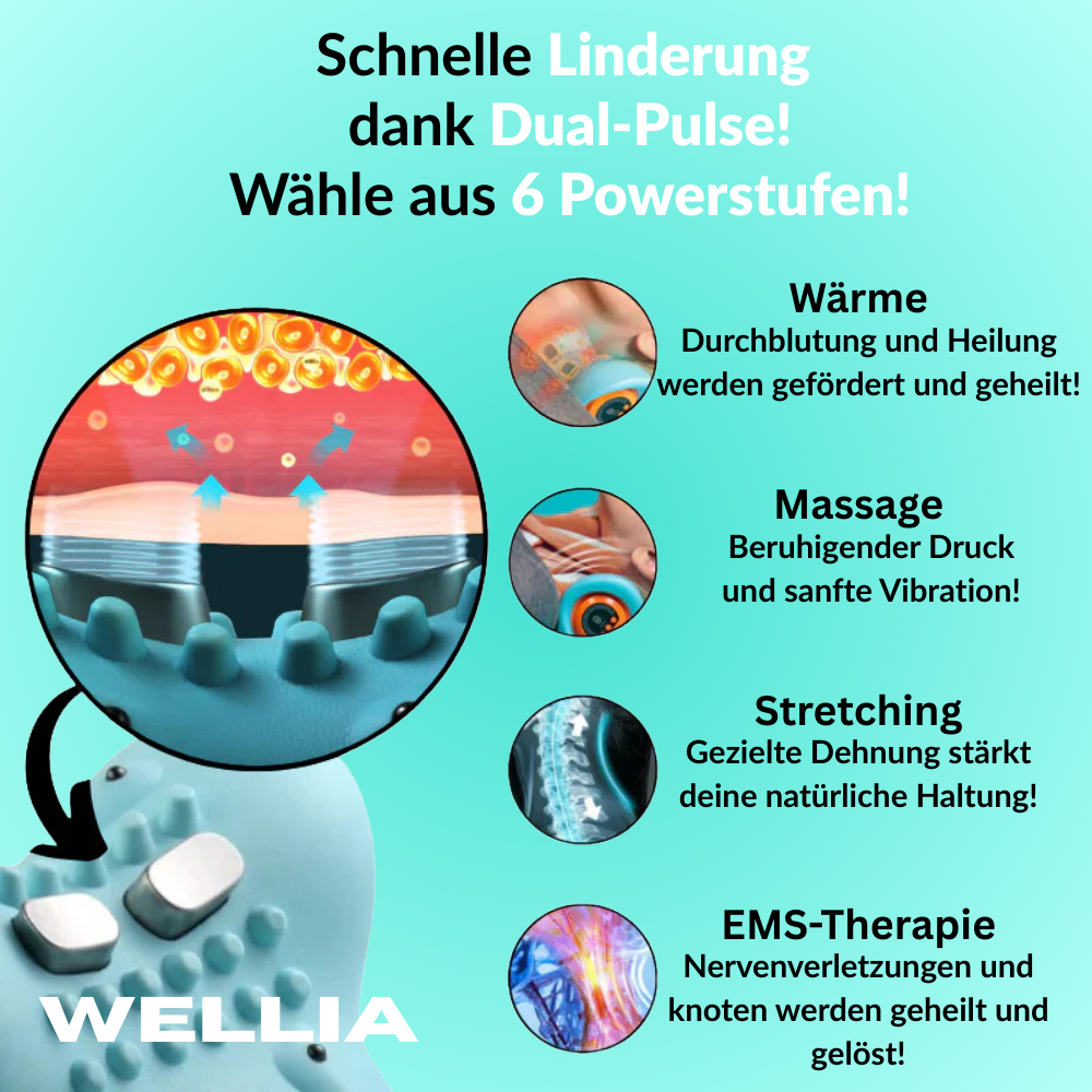 TheraNeck Pro 4-in-1